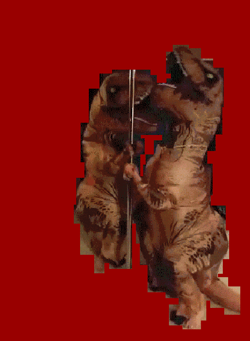 Flesh Dance