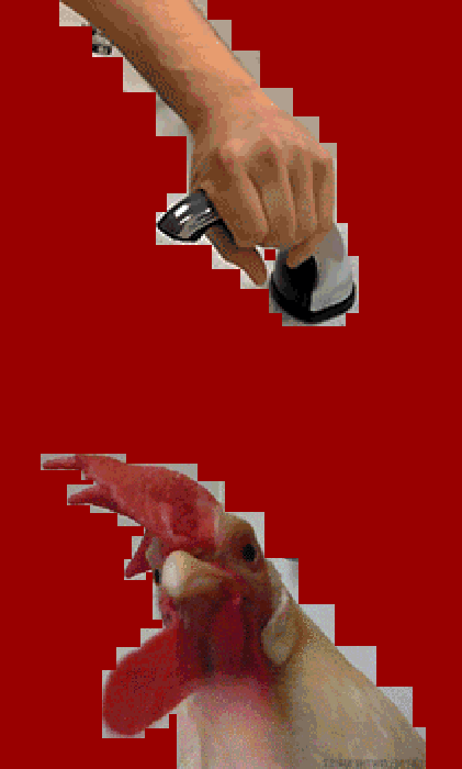 Robocock